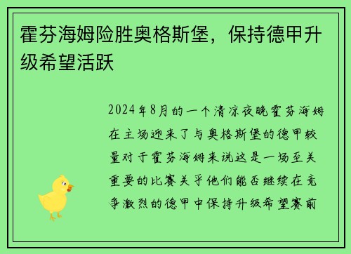 霍芬海姆险胜奥格斯堡，保持德甲升级希望活跃